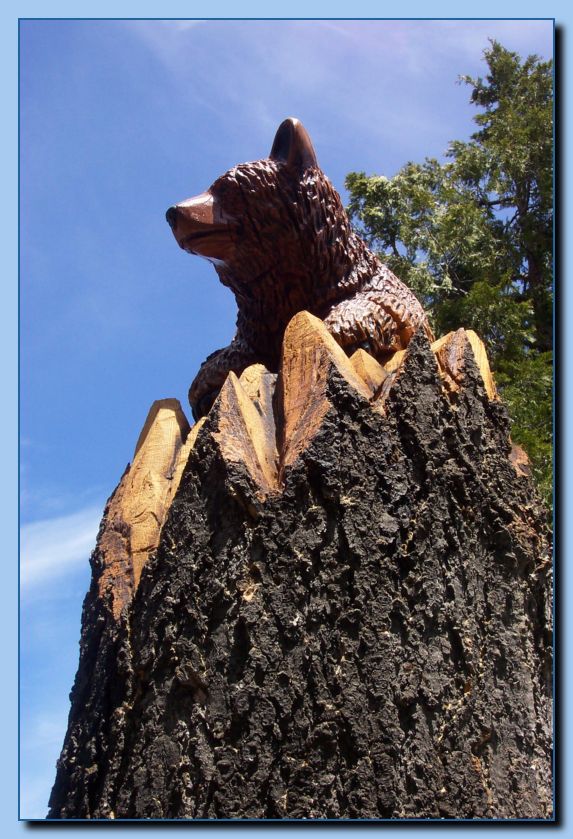 2-39 bears attached to tree-archive-0003